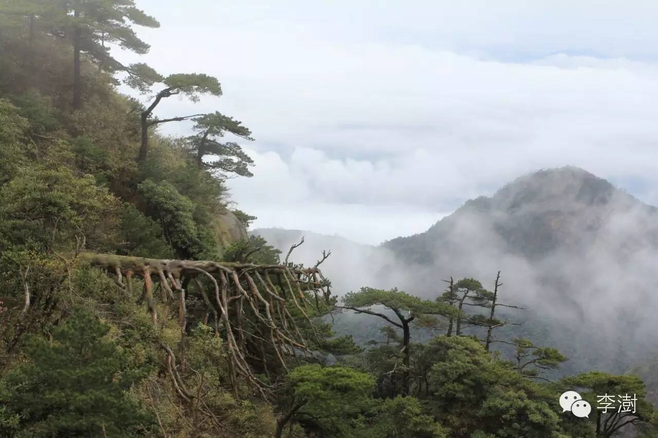 水墨三清山