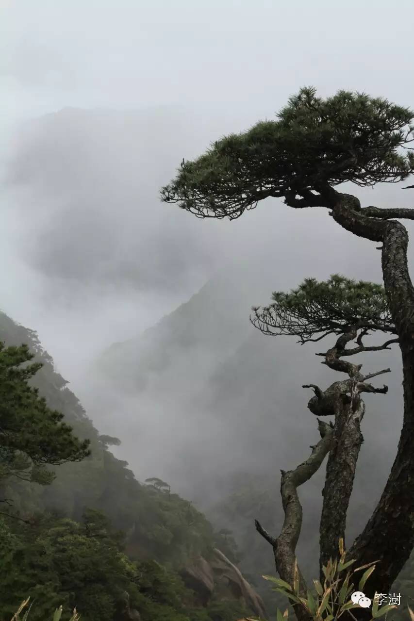 水墨三清山