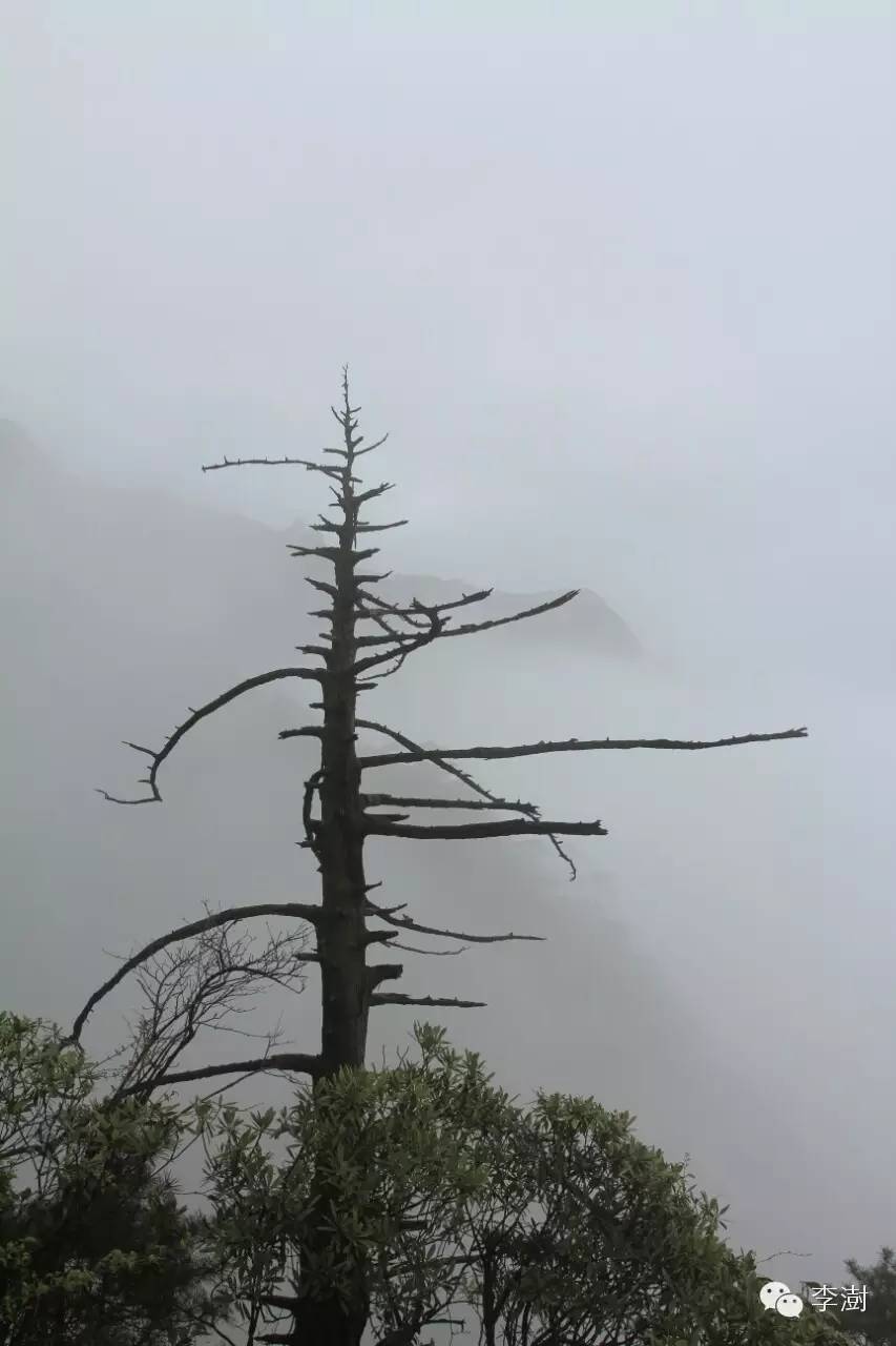 水墨三清山