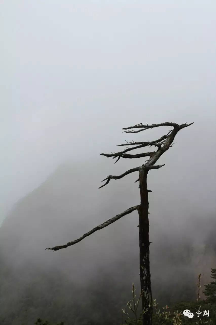 水墨三清山