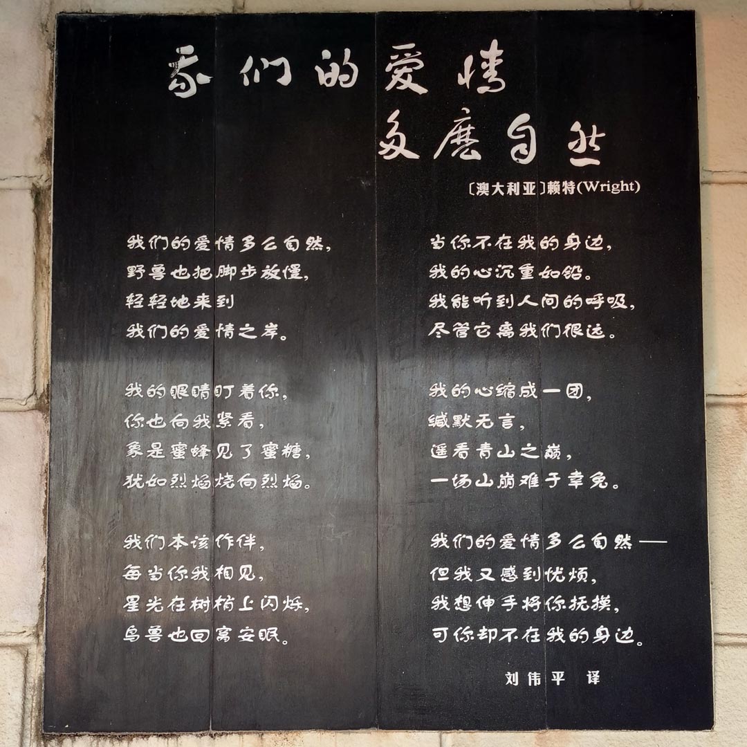 乡愁