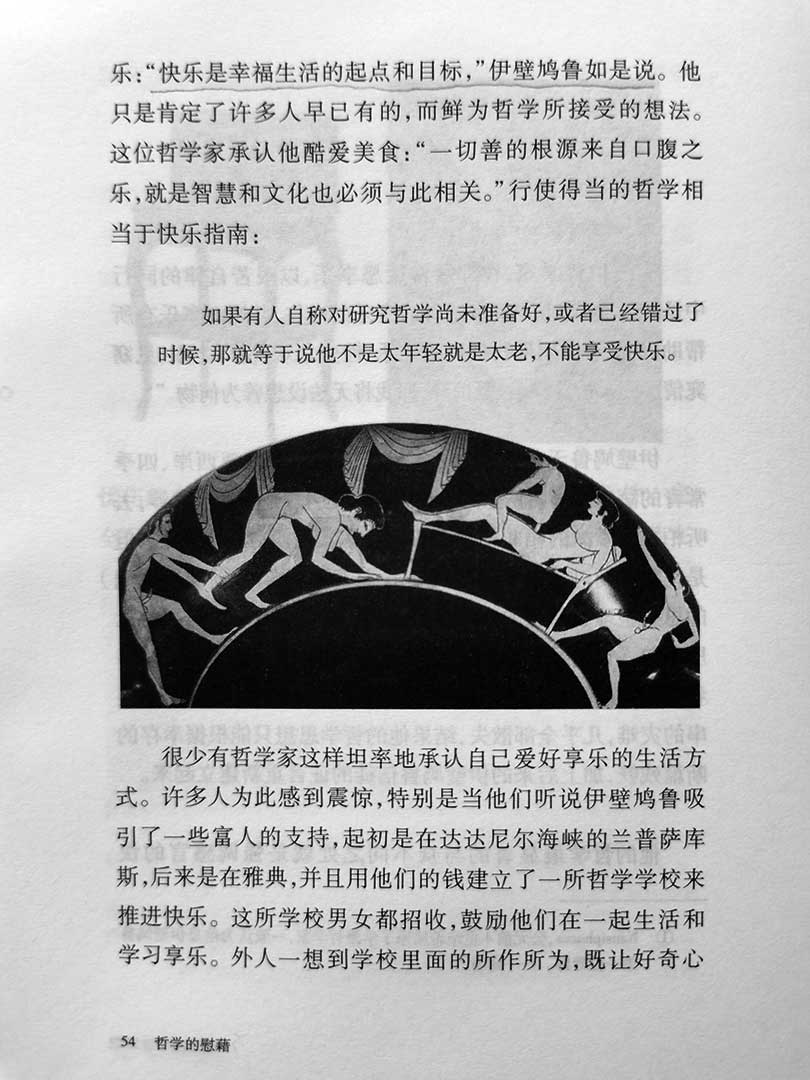 《哲学的慰藉》读书笔记