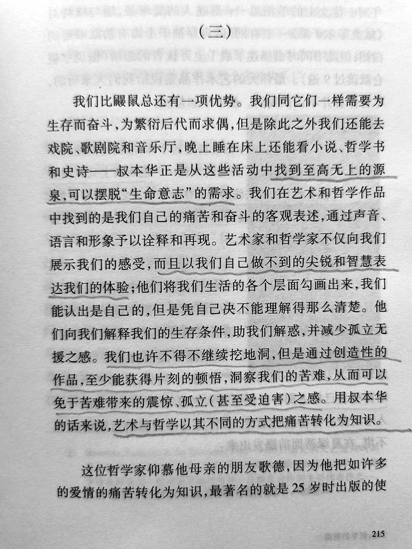 《哲学的慰藉》读书笔记