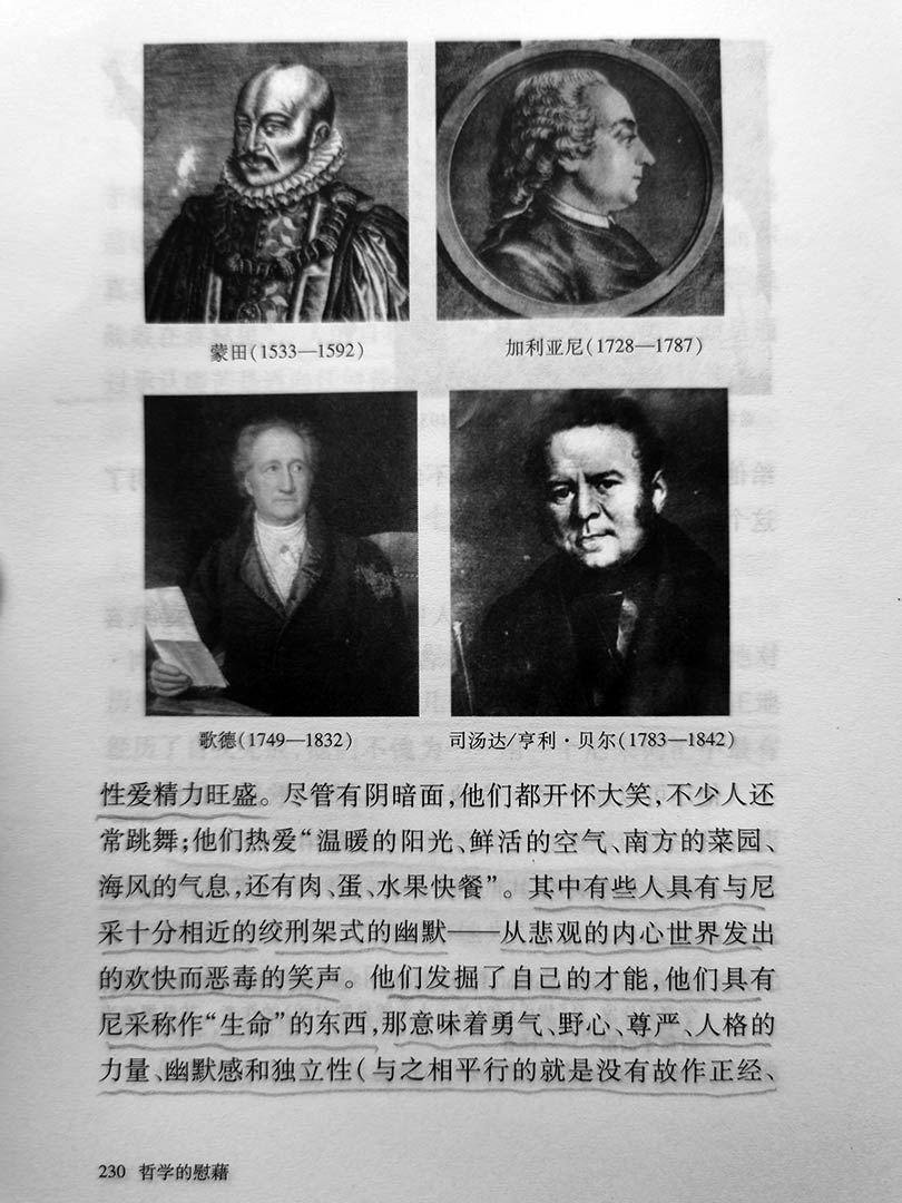 《哲学的慰藉》读书笔记