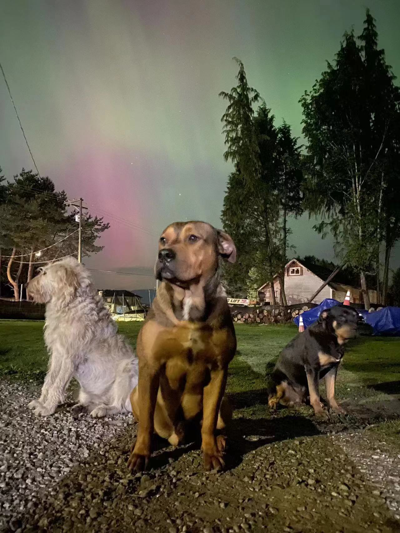Follow the Aurora